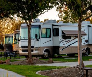 Campers parked side by side at campsite in early morning